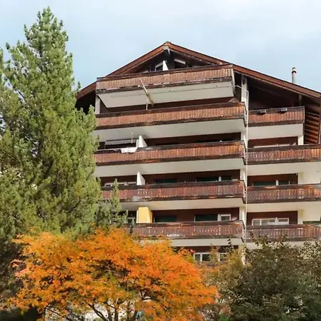 Primavista Daire *